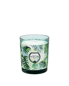 Maison Berger Jar Candle Fresh Eucalyptus 